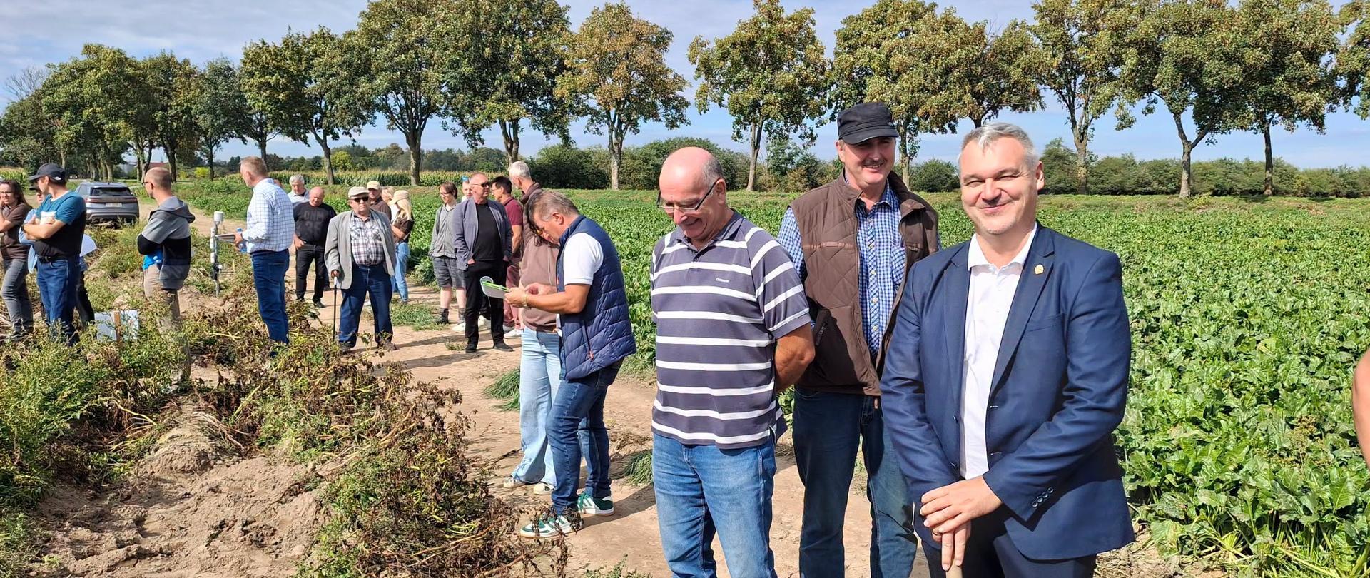 Gleba podstawą sukcesu w uprawie ziemniaka