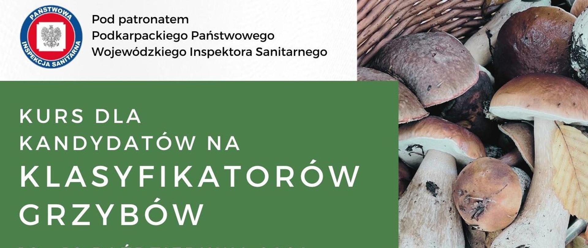 Kurs dla kandydatów na klasyfikatorów grzybów