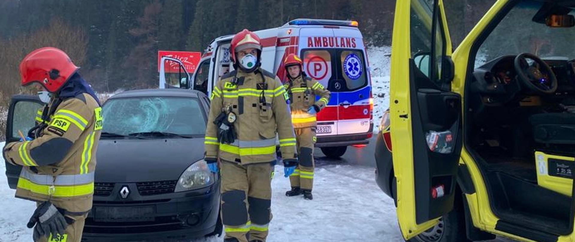 Karetki Pogotowia ratunkowego, samochód Renault Clio oraz strażacy