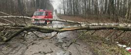 Środek zdjęcia stanowi powalone drzewo. Drzewo leży w poprzek drogi blokując ruch. Za drzewem widać wóz strażacki. Zdjęcie wykonane w pochmurny dzień. Jest szaro i ponuro.