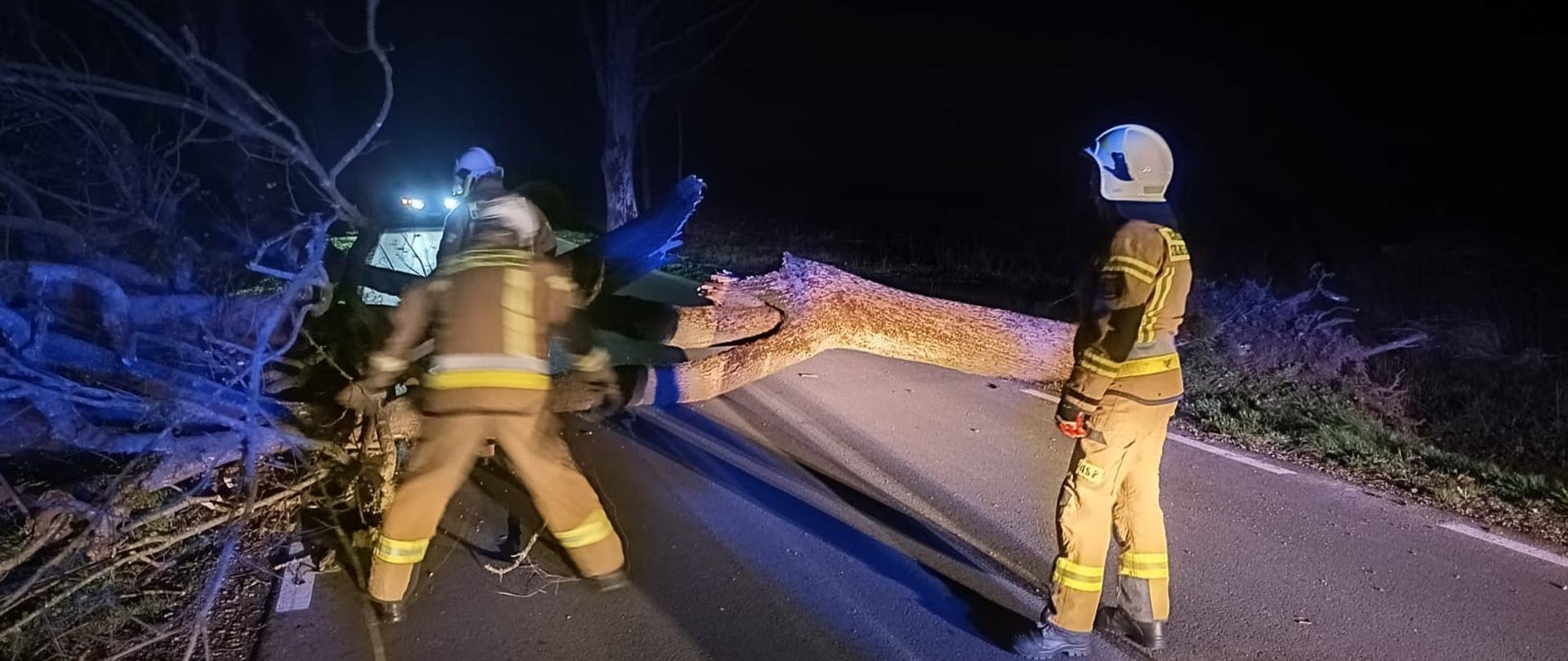Zdjęcie zrobione nocą. Na drodze leży drzewo, przy nim trzech strażaków.