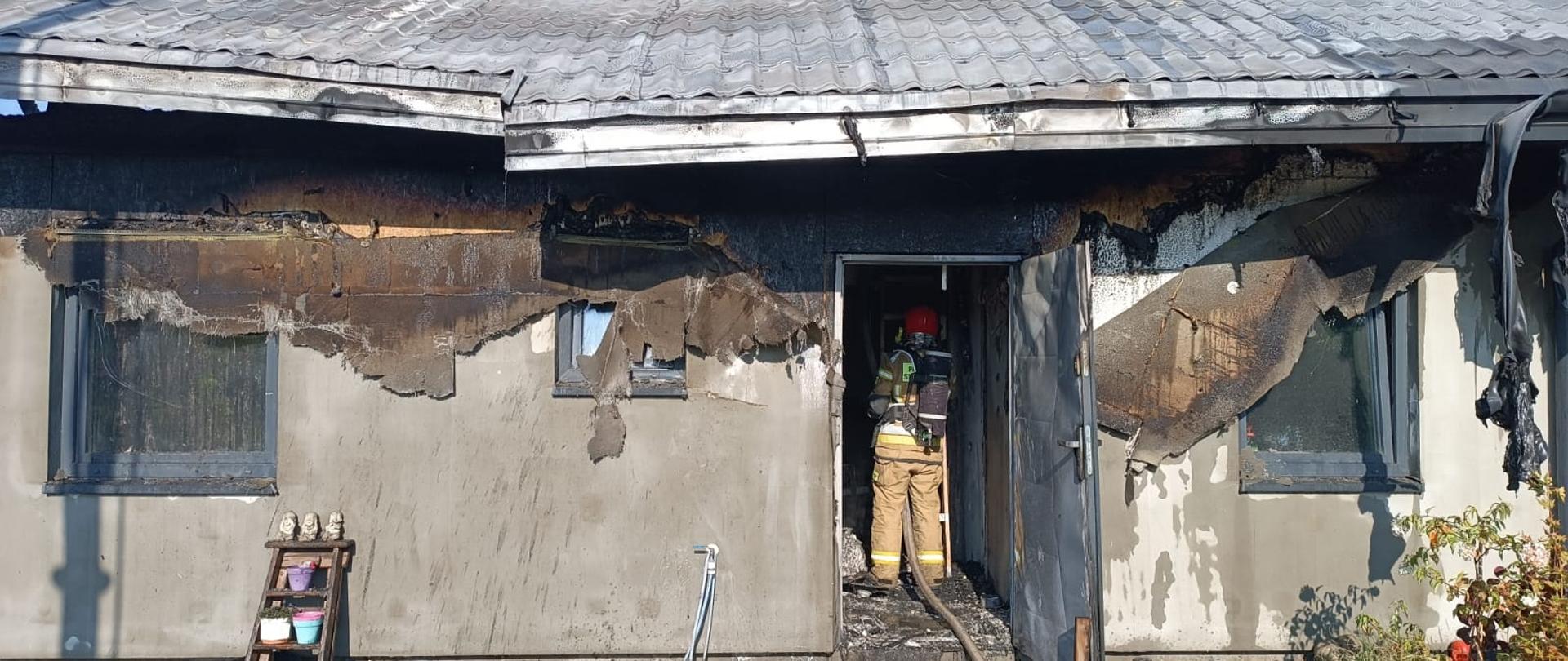 Strażak w pełnym umundurowaniu wchodzi z linią gaśniczą do palącego się budynku mieszkalnego jednorodzinnego.