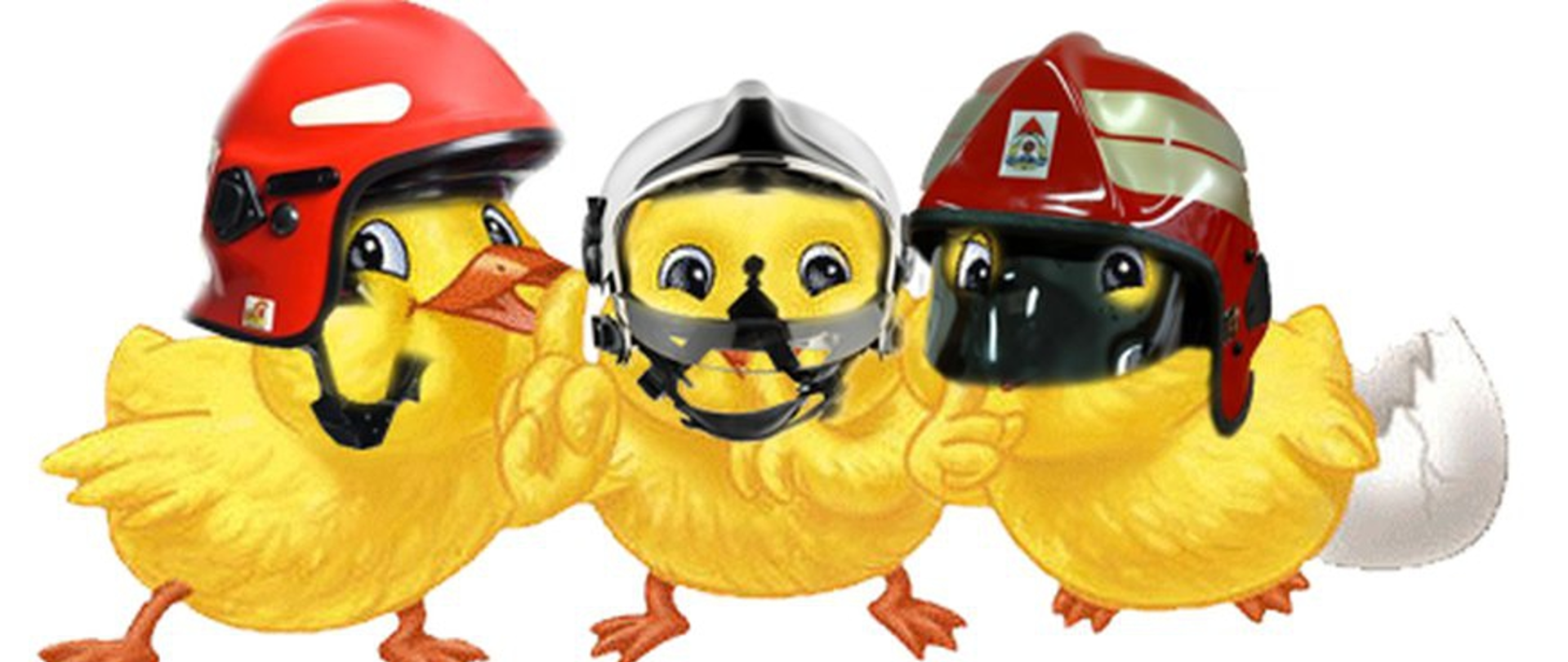 Trzy kurczaki w hełmach strażackich