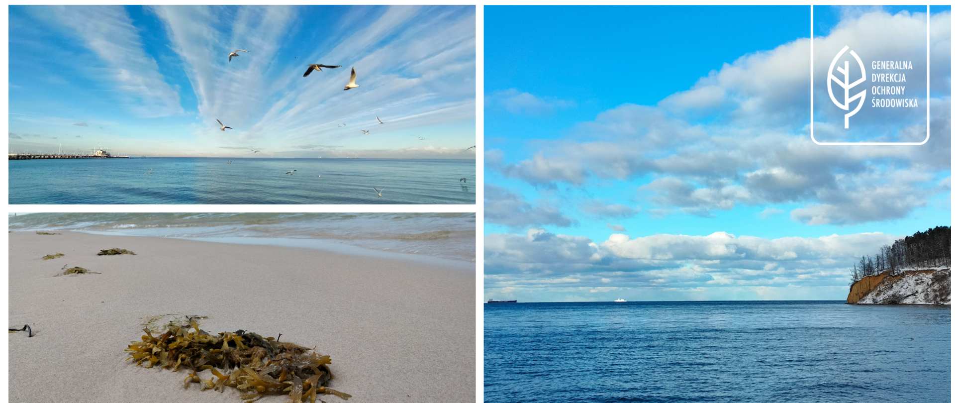 Kolaż składający się z trzech zdjęć. Na zdjęcie w lewym górnym rogu widać błękitne niebo, podłużne chmury i spokojne morze. Na tle chmur i błękitnego nieba latają ptaki. Na zdjęciu w lewym dolnym rogu widać plaża i morze. Na piasku leżą wodorosty w kolorze brązowym. W oddali widać morze i fale. Na zdjęciu po prawej stronie widać spokojne morze, Błękitne niebo oraz białoszare chmury. Z prawej strony jest klif porośnięty drzewami. W oddali na horyzoncie płyną statki.