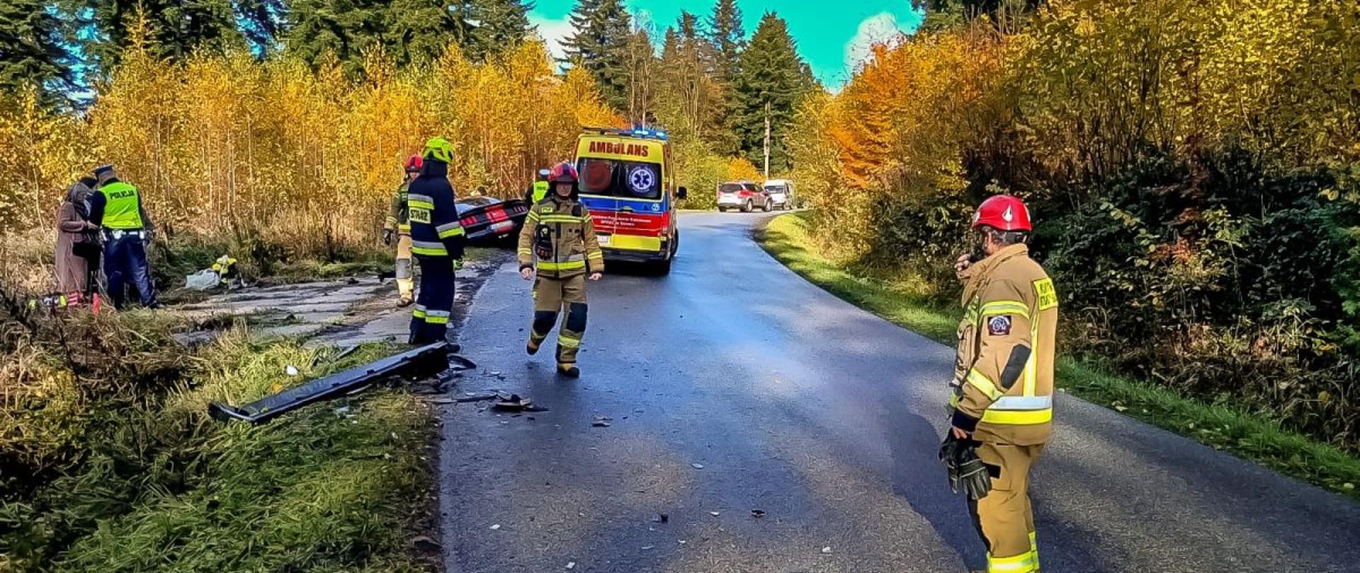 Zdjęcie przedstawia miejsce wypadku. Na drodze widać czterech strażaków i policjanta. Na poboczu jeden z policjantów rozmawia ze świadkami zdarzenia, Za strażakami stoją dwie karetki pogotowia. Przy jednej z nich samochód osobowy biorący udział w wypadku znajduje się poza drogą. Zdjęcie wykonane na zakręcie, w tle widać samochód operacyjny PSP. 