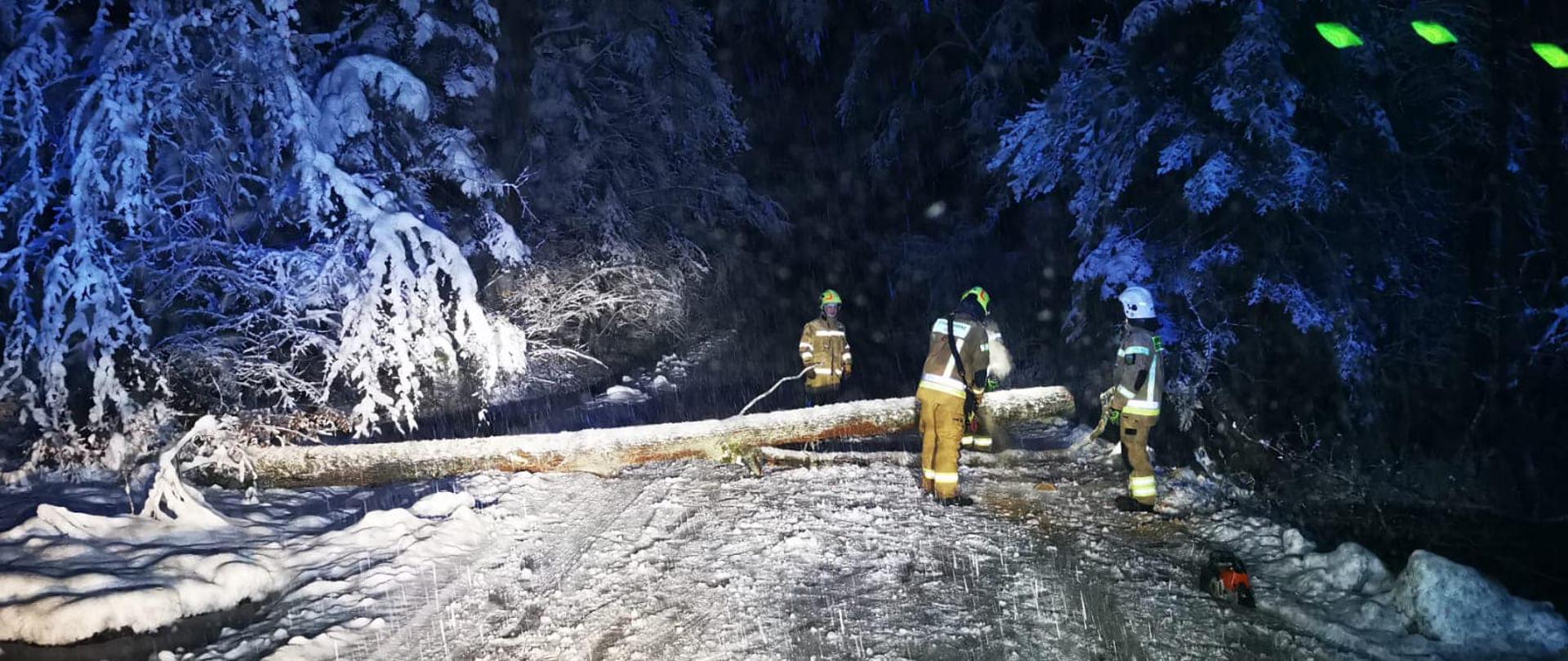Na zdjęciu strażacy pracujący nad usunięciem powalonego drzewa na drogę przez ciężki mokry śnieg.