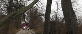 Nad drogą pochylone jest drzewo, które stwarza zagrożenie. W oddali widać samochód strażacki na sygnałach. 