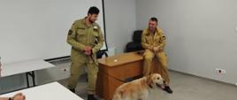 Zdjęcie przedstawia psa ratownika i jego opiekuna na sali szkoleniowej w KP PSP w Lwówku Śląskim