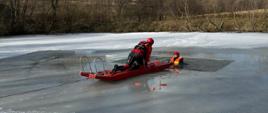 Zdjęcie przedstawia strażaków podczas ćwiczeń z zakresu ratownictwa lodowego na zamarzniętym stawie z wykorzystaniem sani lodowych