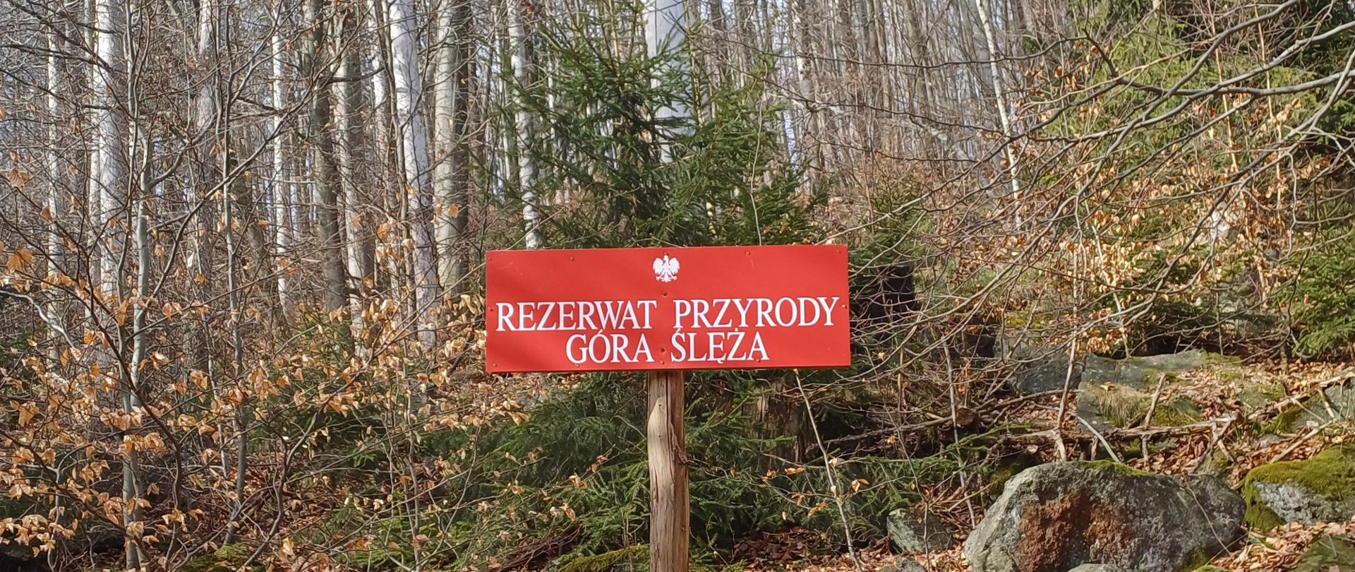Rezerwat przyrody 