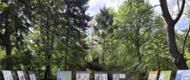 Obchody Konstytucji 3 maja - Barwy Polski w strojach ludowych