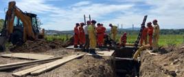 Strażacy w pomarańczowych i żółtych kombinezonach oraz czerwonych kaskach pracują w wykopie. Wewnątrz niego i dookoła sprzęt techniczny do stabilizacji wykopów. 