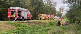 Na zdjęciu siły i środki straży pożarnej z ratownikami oraz pojazd osobowy w rowie 