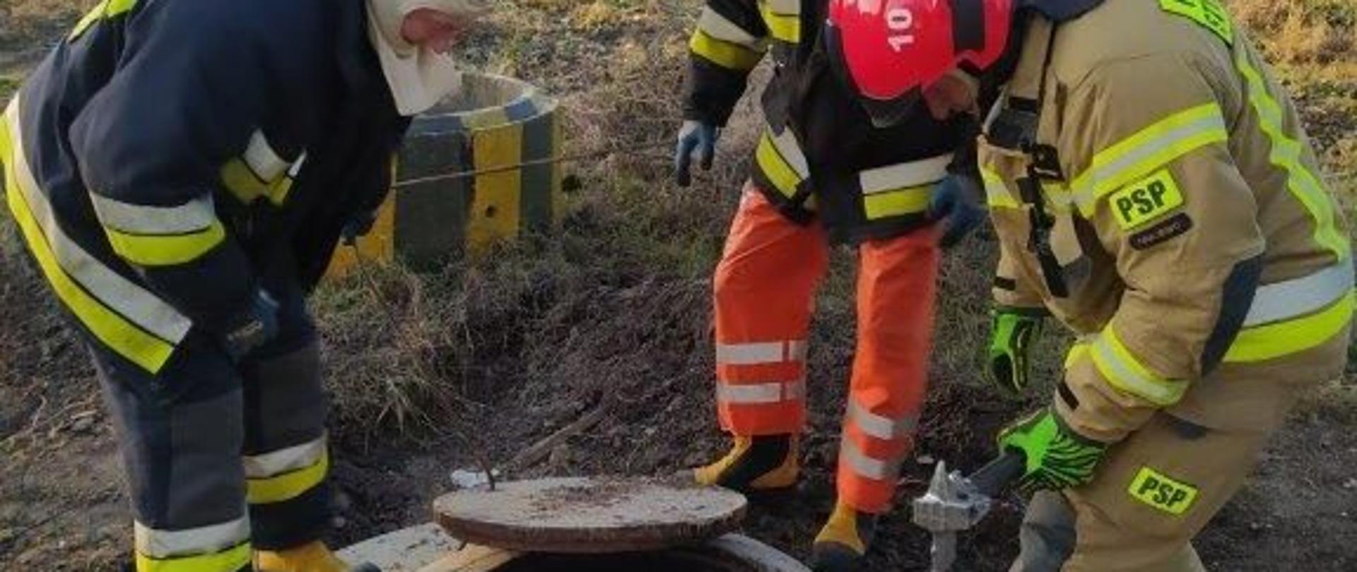 Zdjęcie obrazujące 3 strażaków w umundurowaniu bojowym zaglądających do wnętrza studzienki wodno-kanalizacyjnej. 