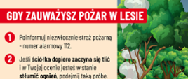 Pożary lasów