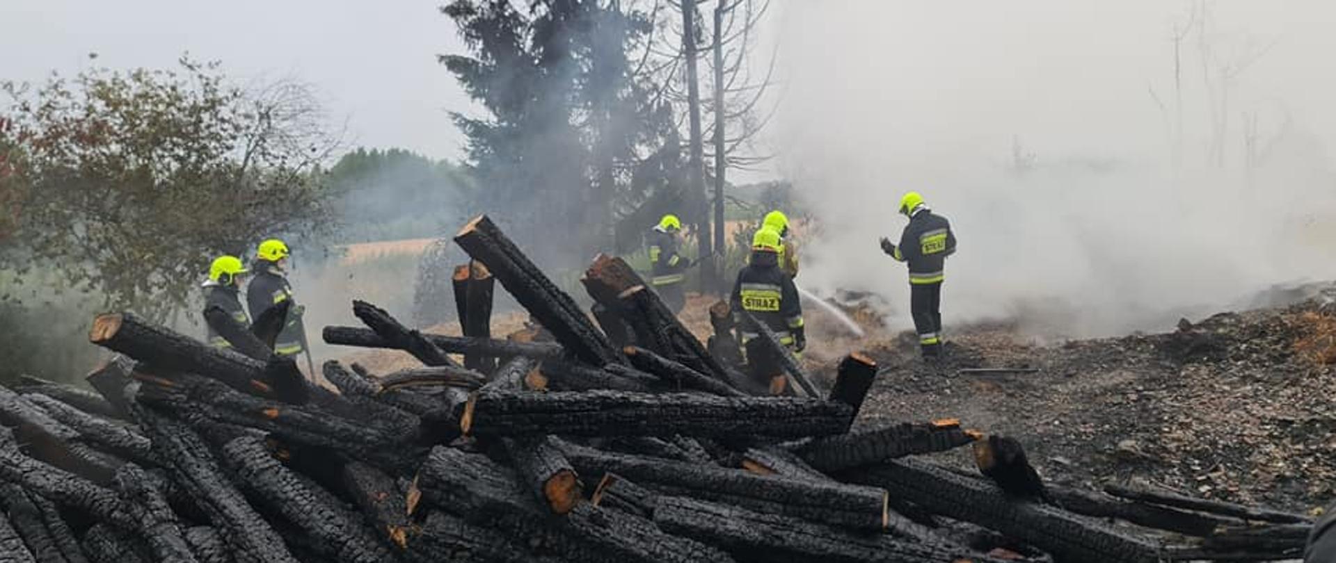 strażacy podczas działań gaśniczych