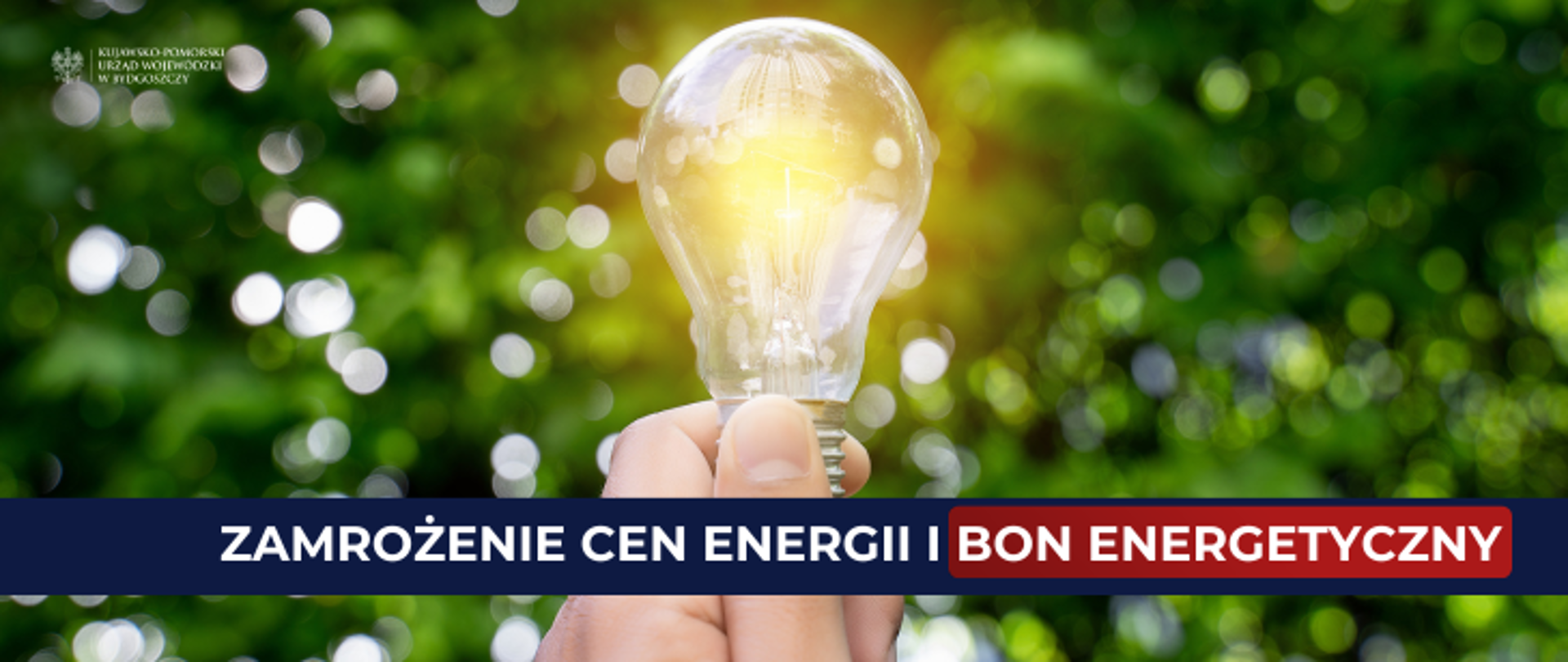 Bon energetyczny 