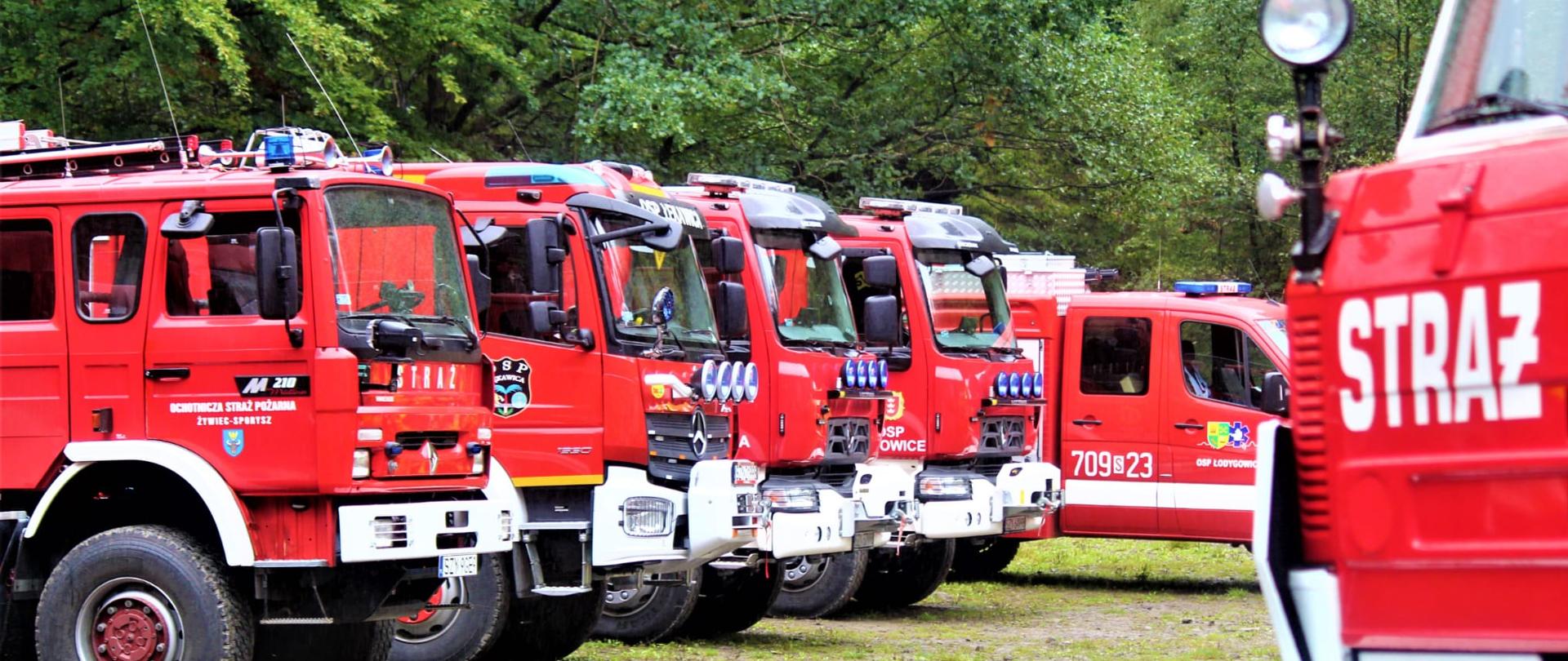 Ustawione w szeregu samochody ratowniczo-gaśnicze Kompanii Gaśniczej Żywiec