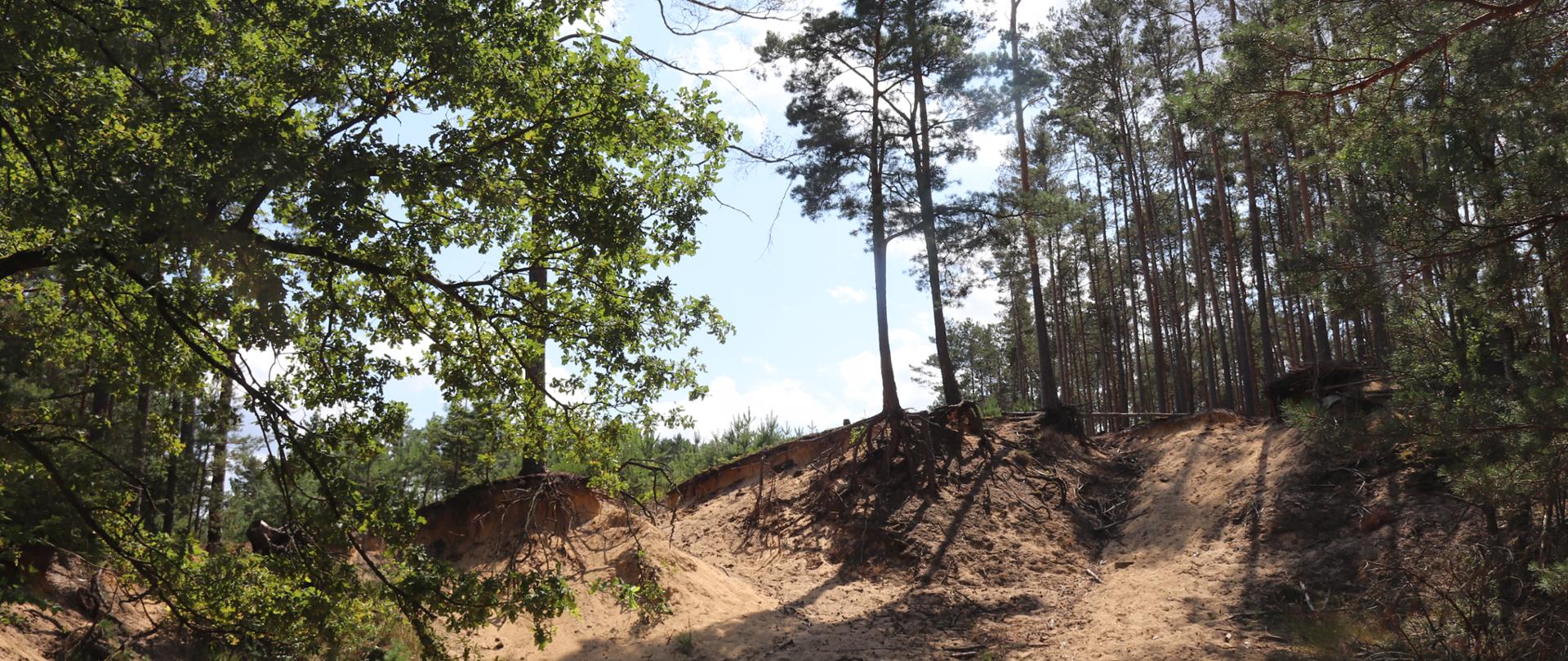 rp_Budkowickie_Wydmy