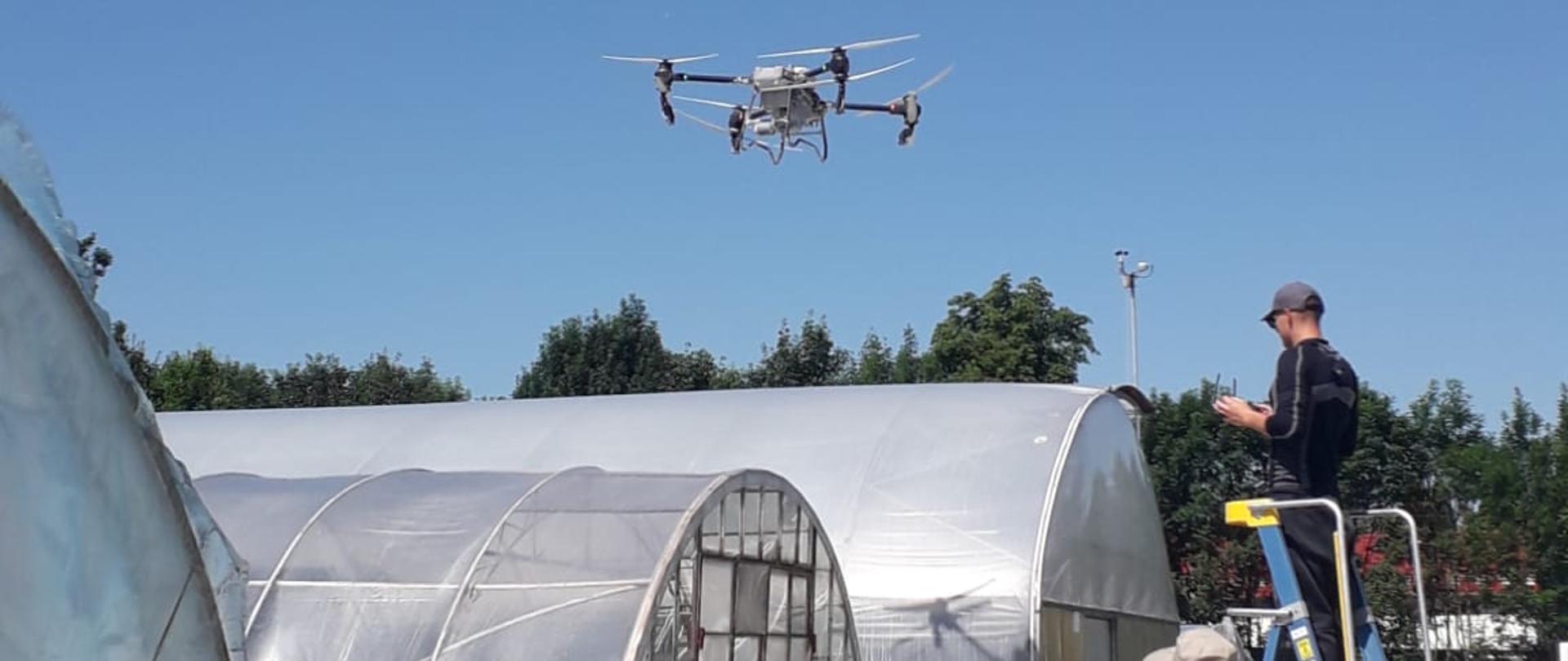 Dron leci między foliowymi tunelami. Jeden mężczyzna stoi na drabinie, drugi w kamizelce odblaskowej obserwuje lot. Słoneczny dzień i bezchmurne niebo.”