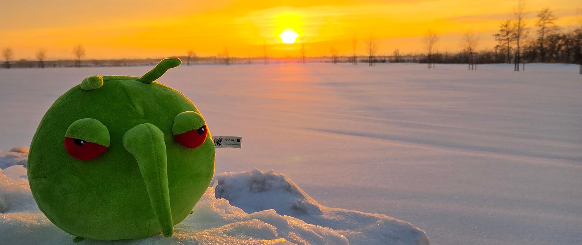 Zielona maskotka na polu pokrytym śniegiem o zachodzie słońca