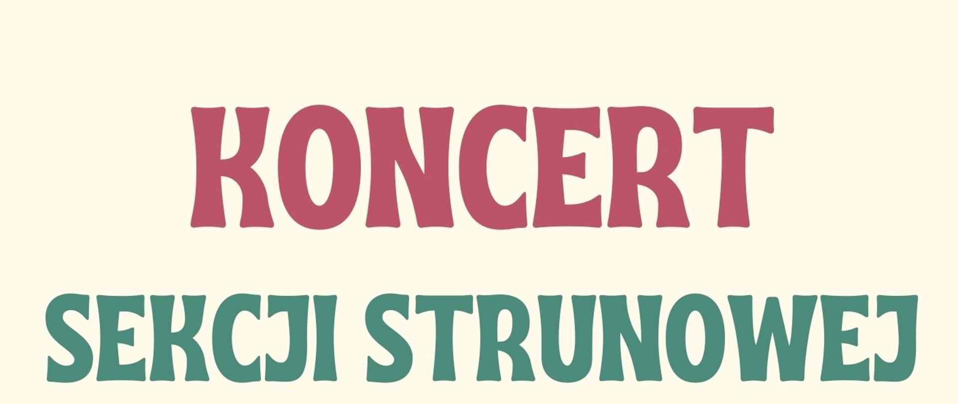 koncert sekcji strunowej 10.01.2024
