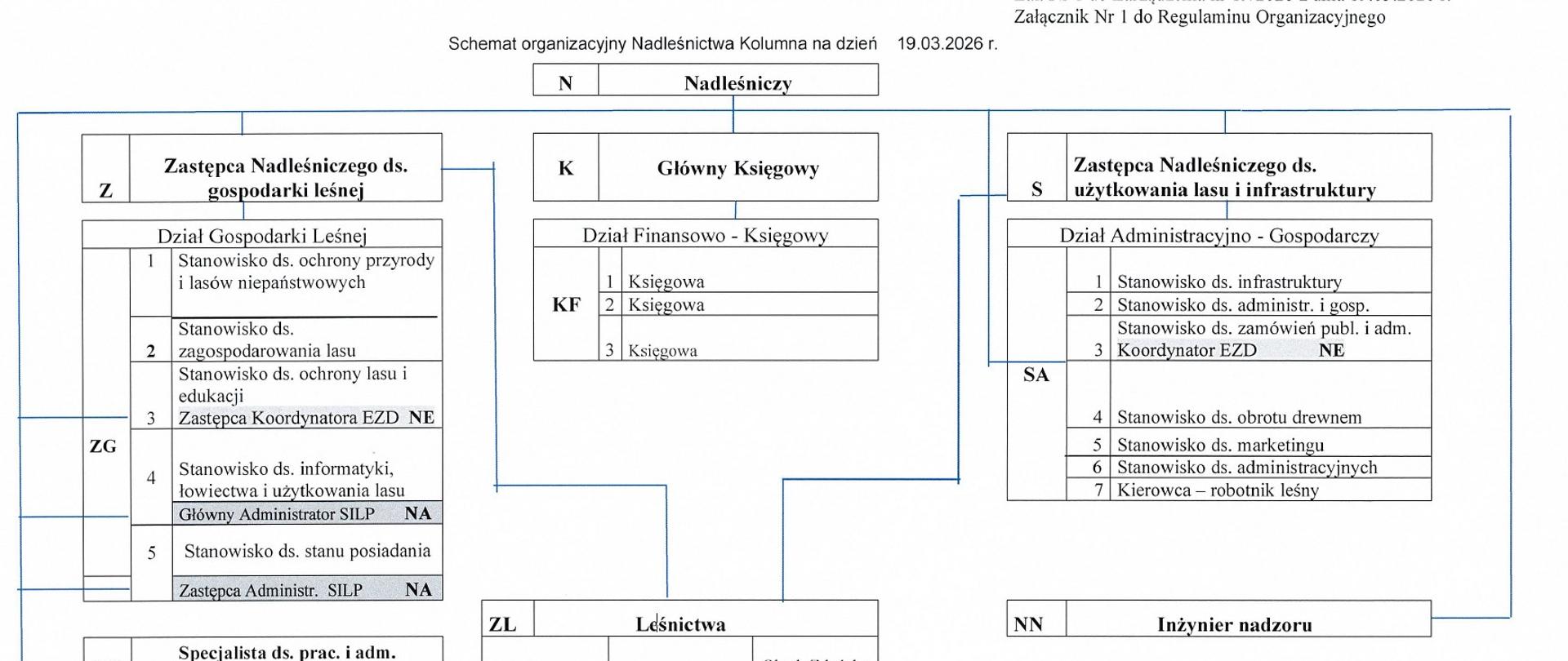 schemat organizacyjny Nadleśnictwa Kolumna