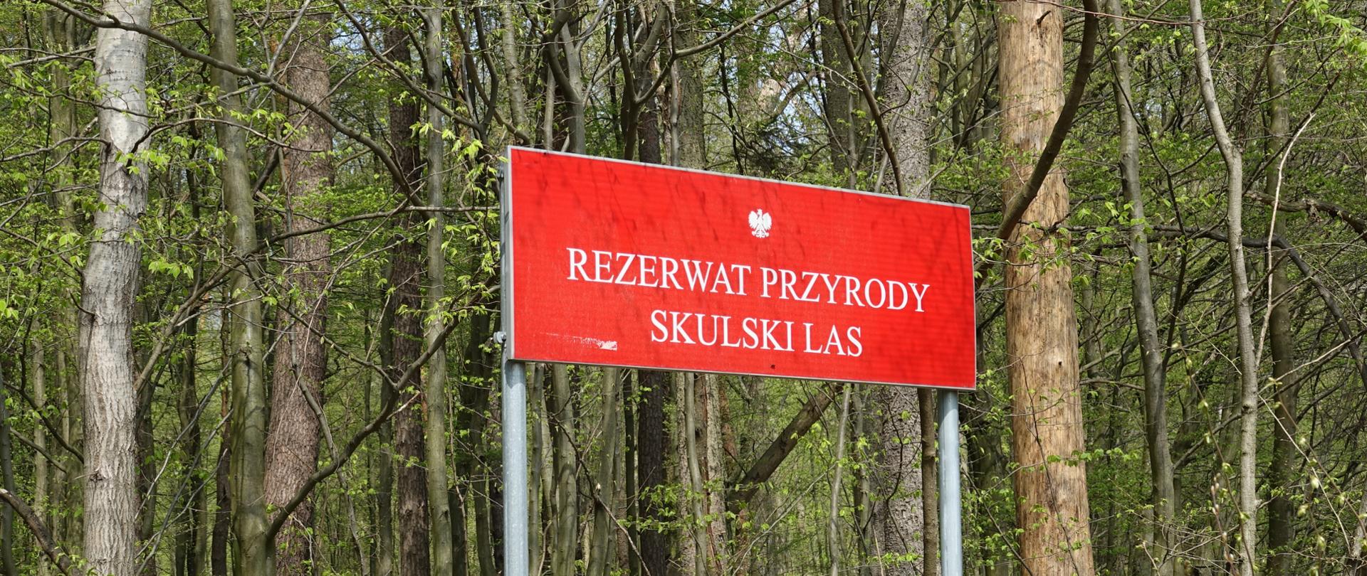 Czerwona tablica urzędowa z tekstem "Rezerwat przyrody Skulski Las" - za nią drzewostan wiosennego lasu
