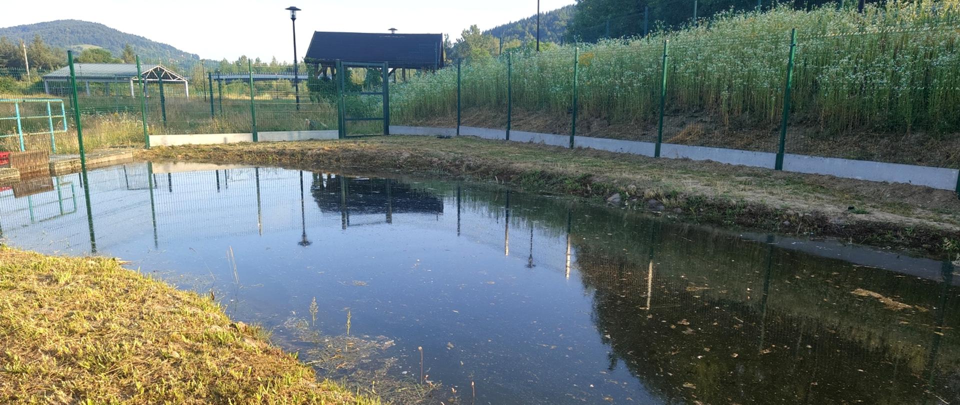 Nowy dom dla jesiotrów ostronosych