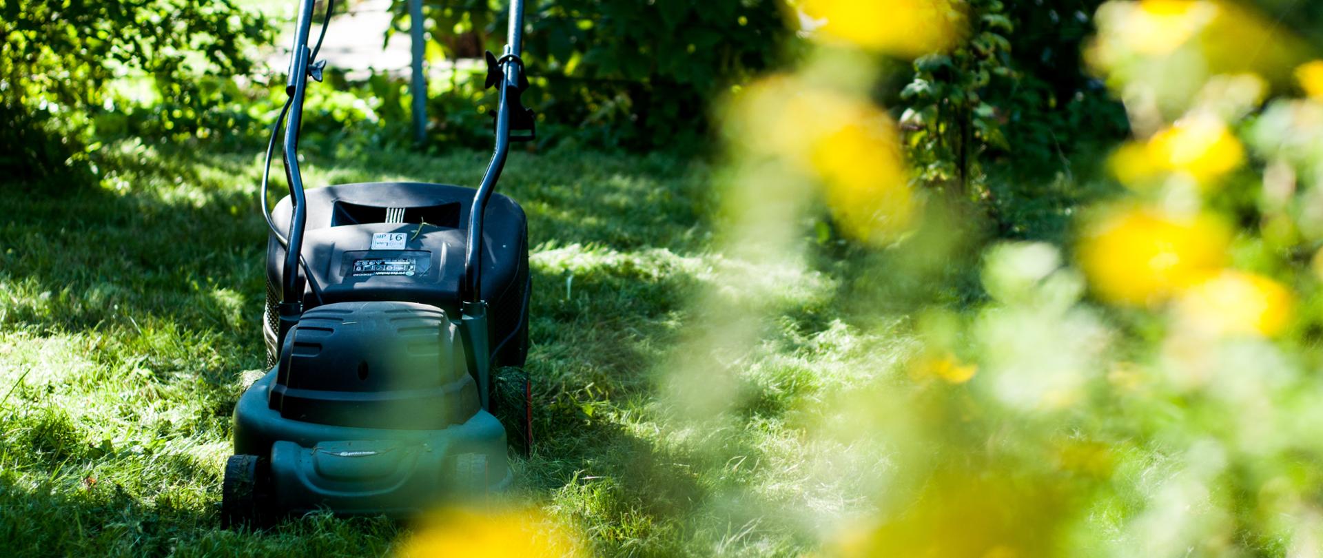 Kosiarka ogród koszenie trawy