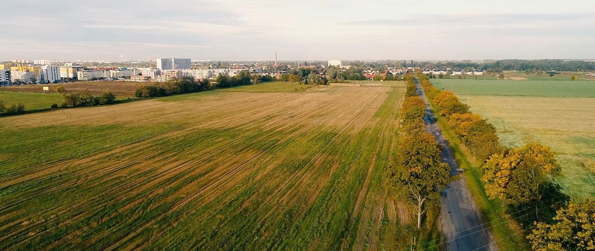 widok w stronę Wrocławia, na pierwszym planie drzewa i pola