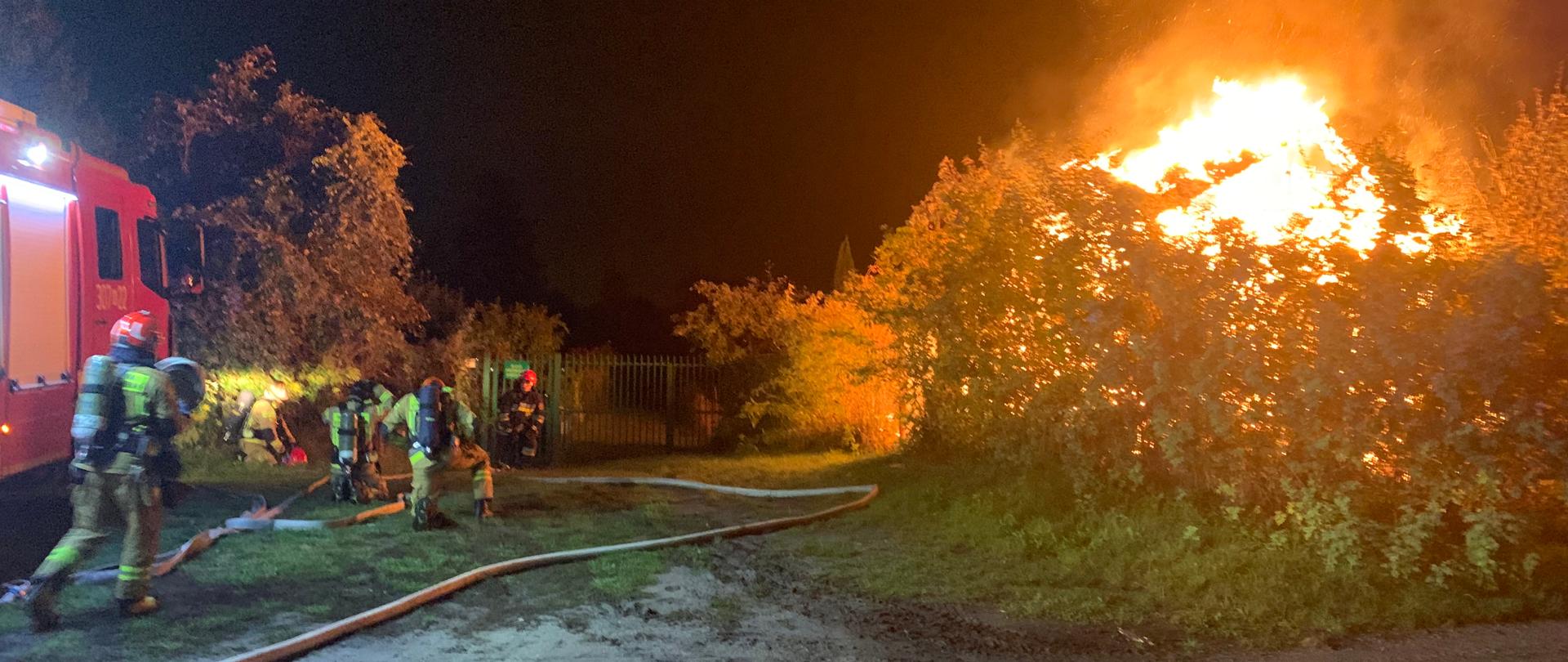 Strażacy podczas działań gaśniczych altanki:
Na głowach maja czerwone hełmy. Na plecach ratowników widać butle od aparatów ochrony dróg oddechowych. Przygotowują się do pracy w strefie zadymienia. 