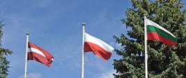 Zdjęcie przedstawia trzy maszty z flagami narodowymi : od lewej flaga Łotwy, flaga Polski, flaga Bułgarii