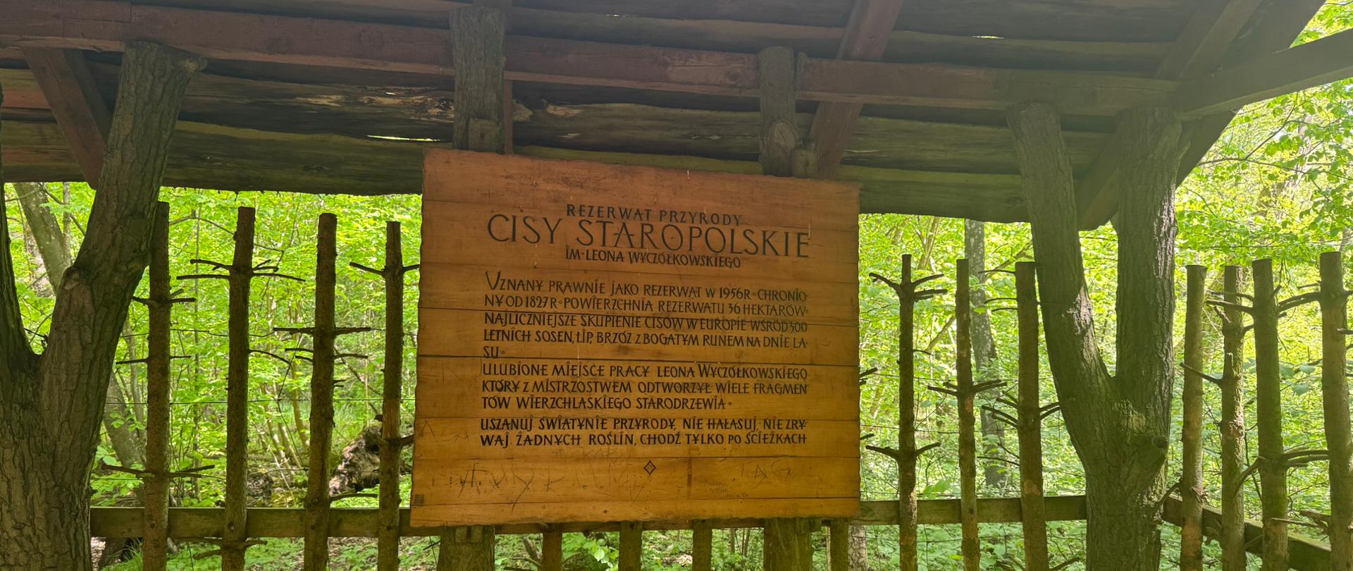 Tablica informacyjna Cisy Staropolskie