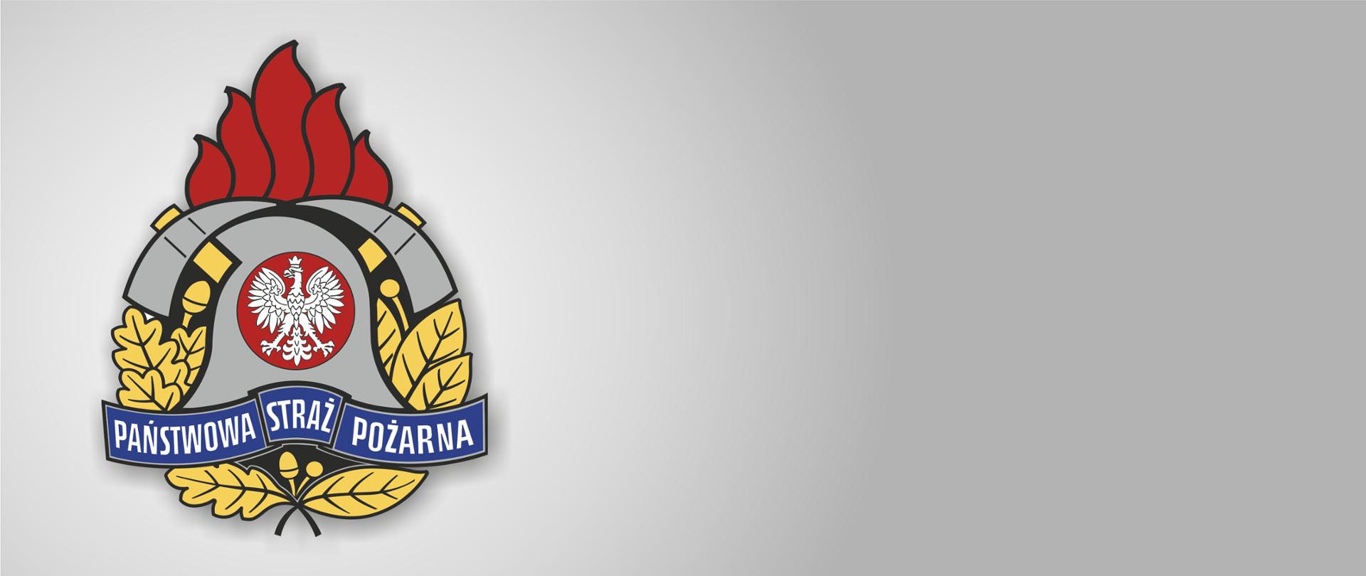 Na szarym tle umieszczony logotyp Państwowej Straży Pożarnej