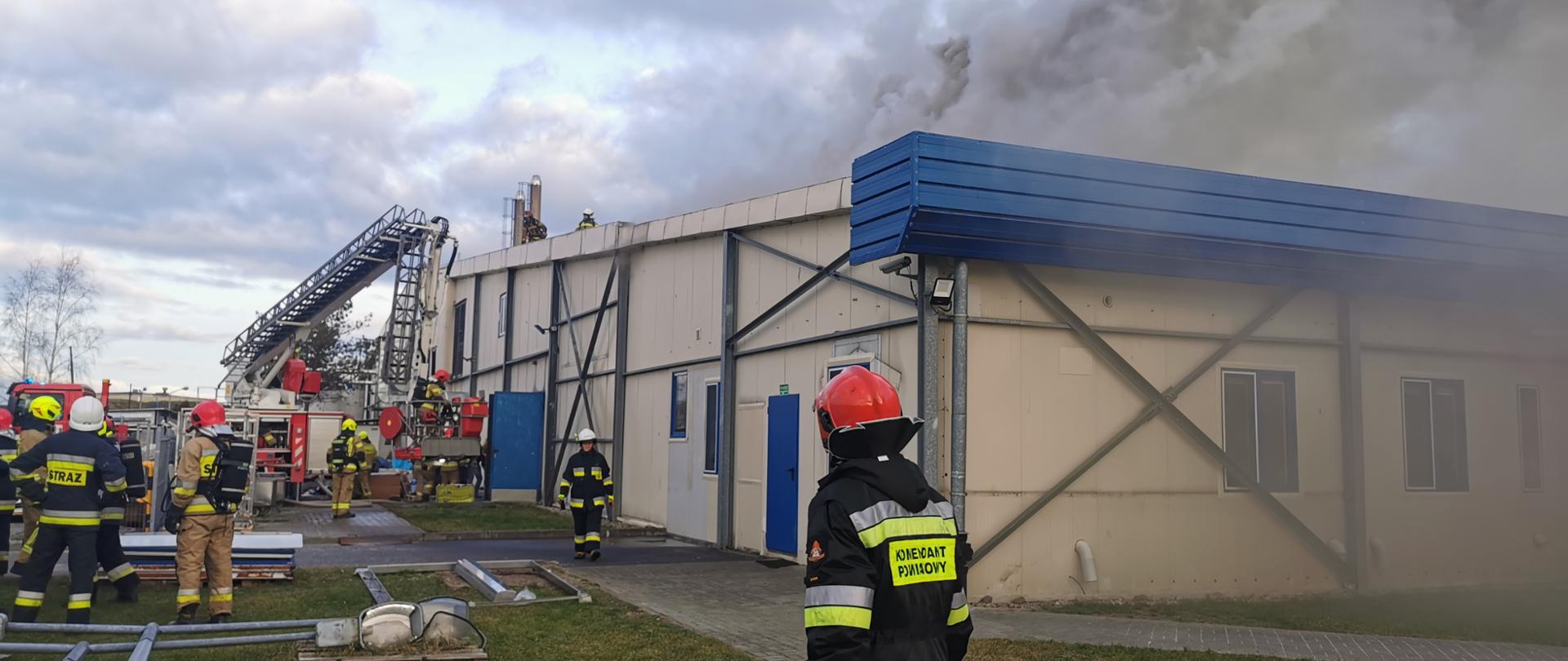 Strażacy w trakcie działań 