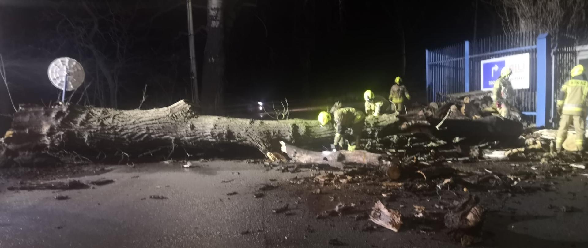 Usuwanie skutków silnych wiatrów 