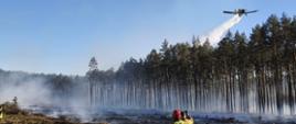 Zrzut wody przez samolot gaśniczy Dromader