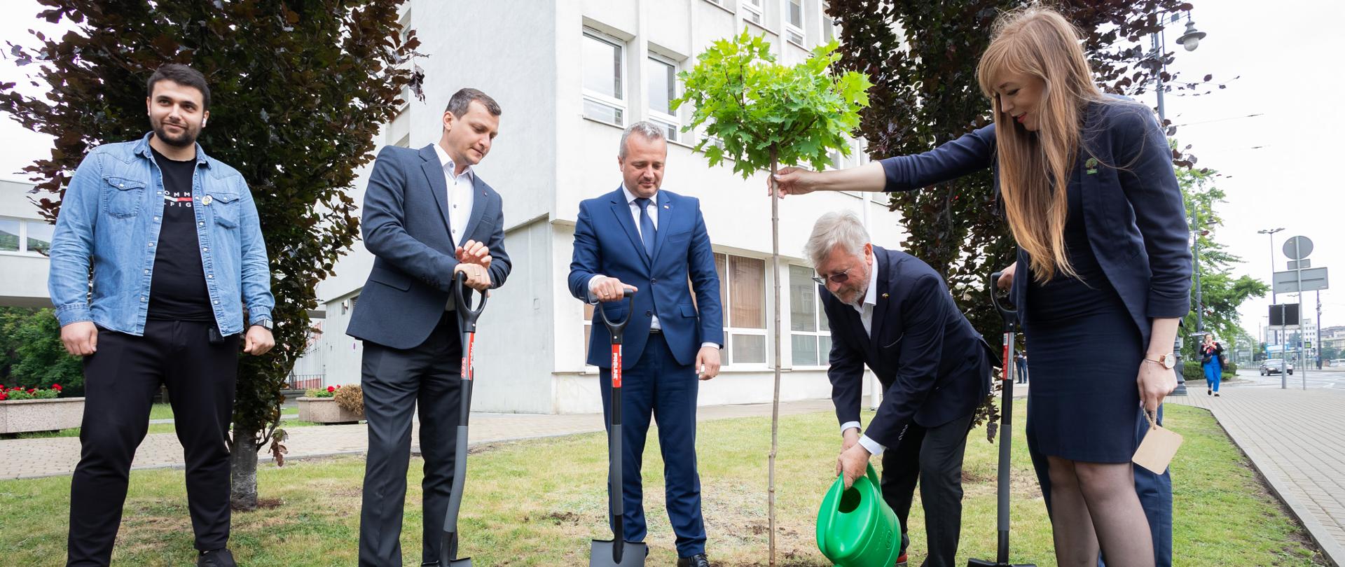 Kobieta i czterech mężczyzn podczas sadzenia drzewka