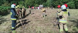 Zdjęcie przedstawia strażaków na łące zapoznających się z podręcznym sprzętem gaśniczym wykorzystywanym przez moduły GFFV