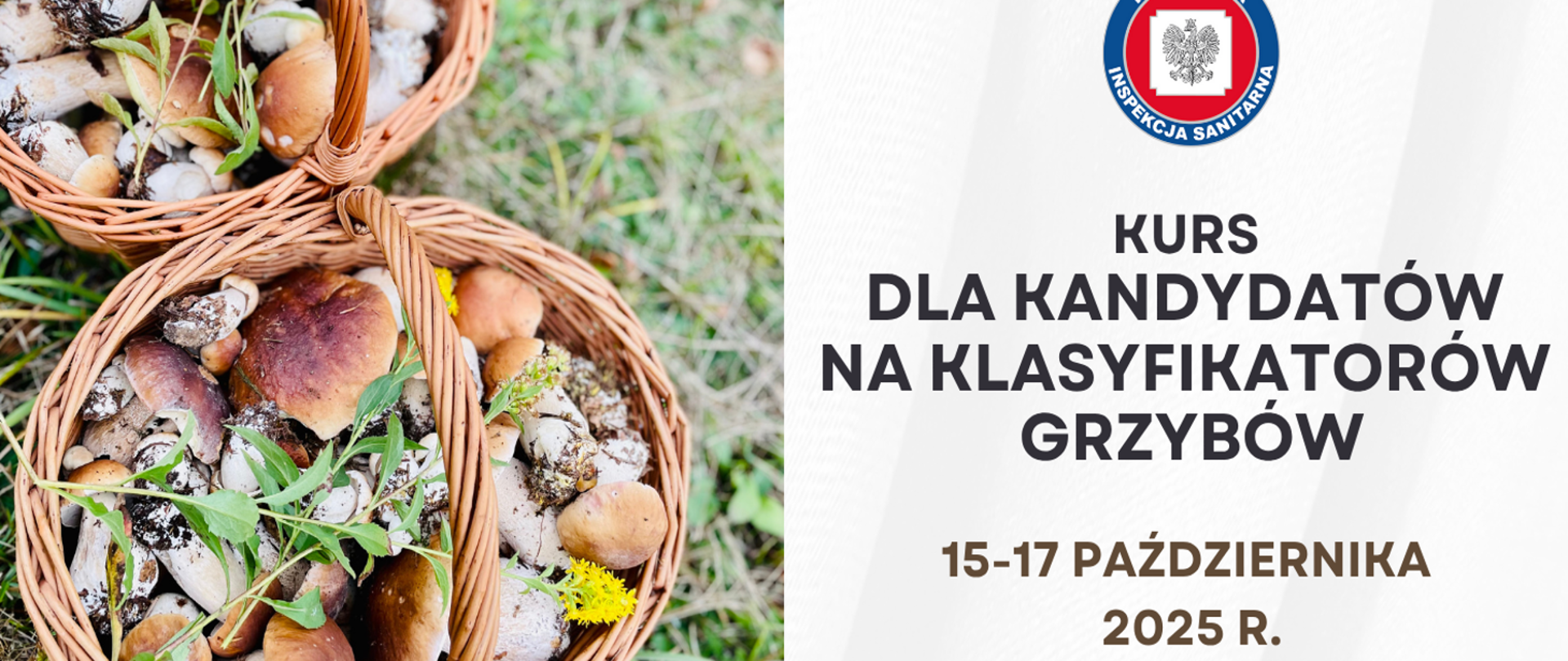 Kurs dla kandydatów na klasyfikatorów grzybów