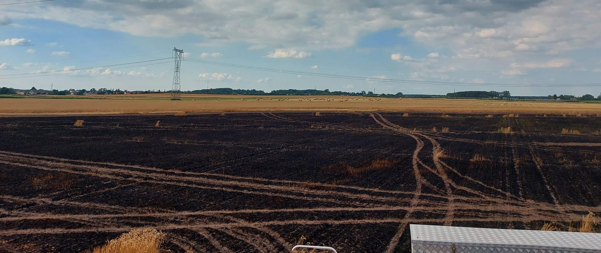 Widać pole na którym spaliło się zboże