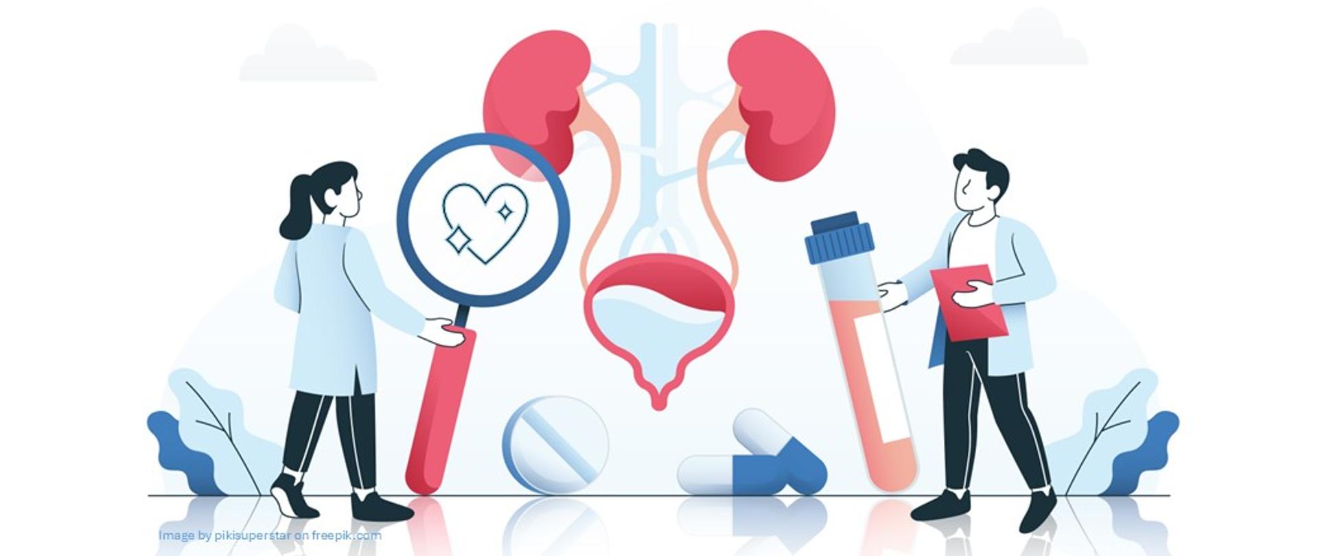 Dbajmy o zdrowie naszych nerek