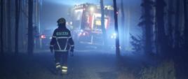 Zdjęcia funkcjonariusza straży pożarnej idącego leśną drogą, po obu stronach drogi rosną drzewa, przed funkcjonariuszem stoi wóz strażacki i auto. Wszędzie unosi się dym.