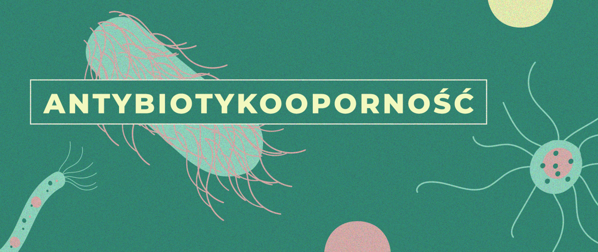 antybiotykoodporność