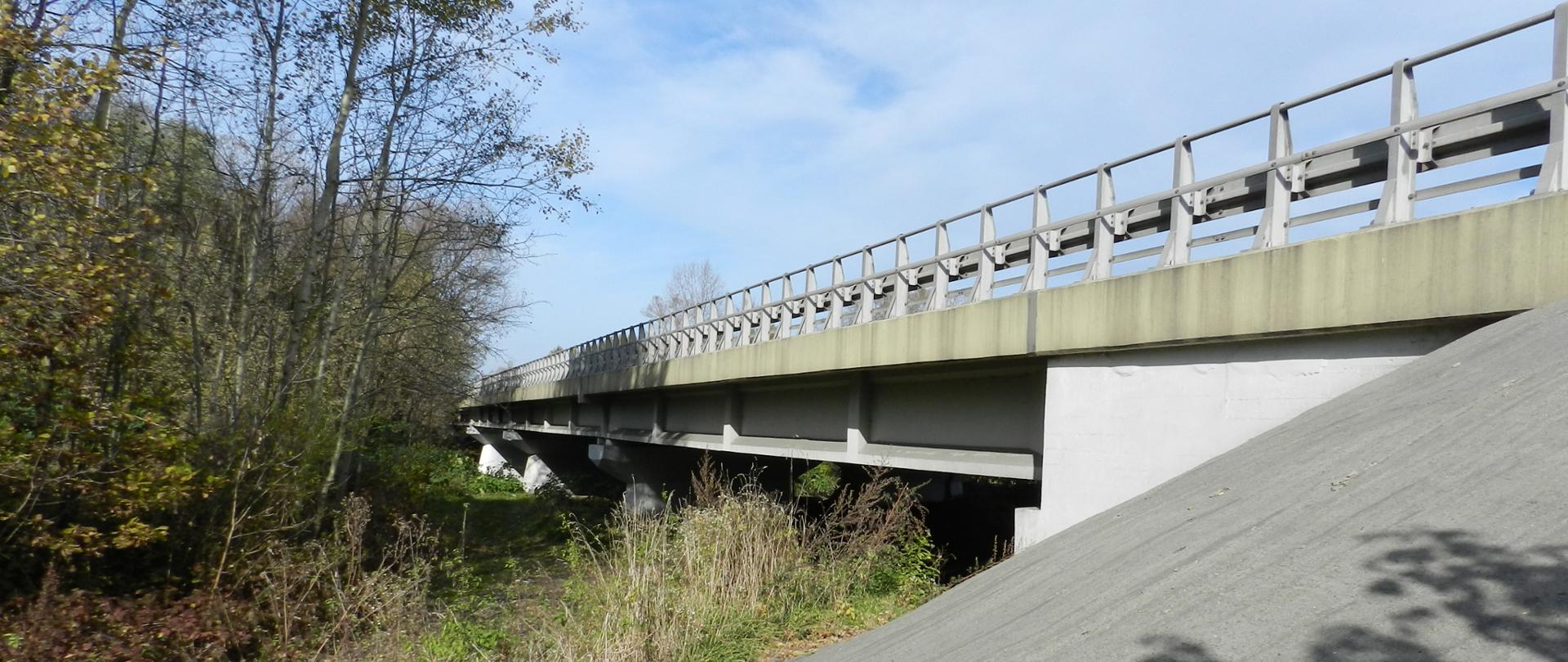 Fotografia mostu z poziomu terenu. W lewej części fotografii widoczna zieleń przydrożna. Po prawej stronie widoczny przyczółek mostu wraz z płytą pomostową i filarami. 