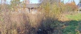 Na zdjęciu widoczny rów przy drodze wraz z krzakami i wypaloną częściowo sucha trawą, w oddali widać budynek, prawdopodobnie pustostan.