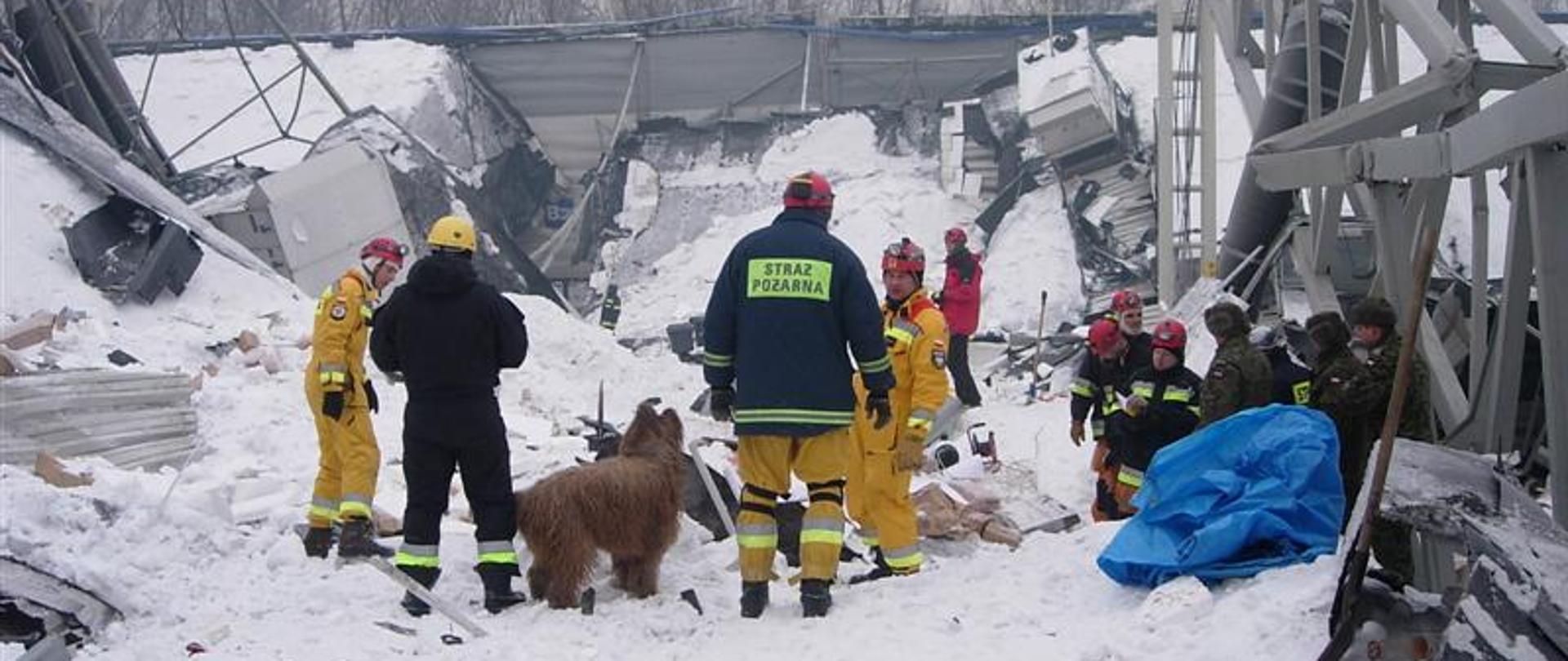 Zdjęcie przedstawia zawalony dach od ciężaru śniegu hali Międzynarodowych Targów Katowickich w Chorzowie. Widoczne są zniszczone elementy konstrukcyjne hali. W środku hali stoją ratownicy z psami poszukujący ludzi.