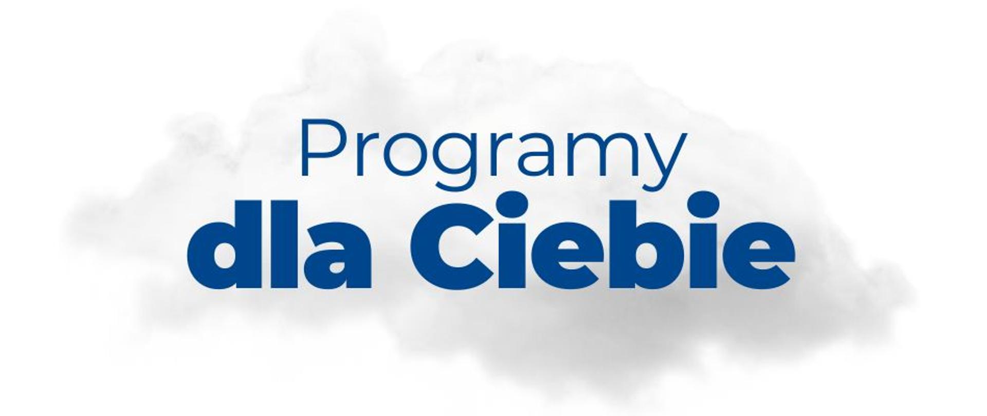 baner z hasłem programy dla Ciebie