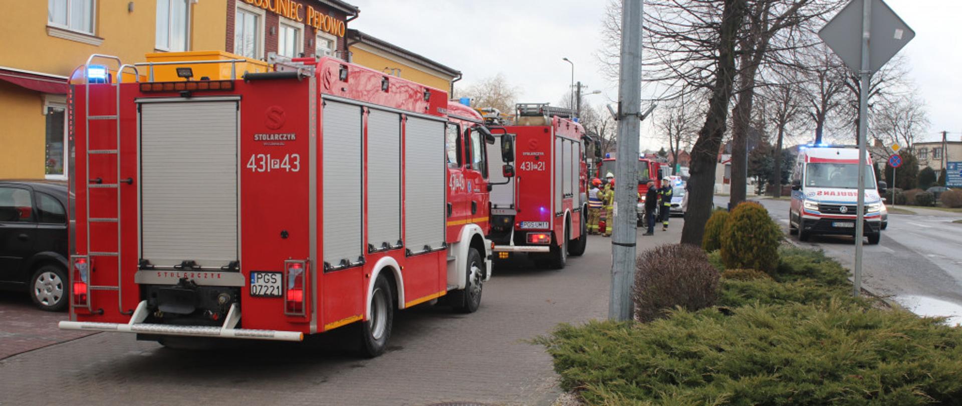 Zdjęcie przedstawia zastępy straży pożarnej stojące na drodze. 